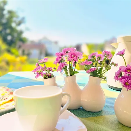 Duenenpark - Komfort Mit 1 Schlafzimmer Und Terrasse Im Erdgeschoss 117 公寓 *